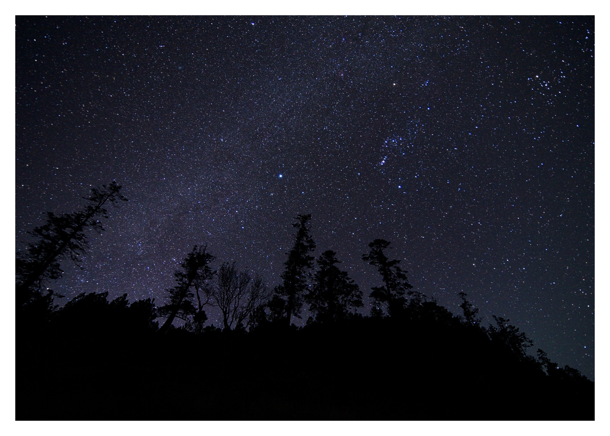 623017352_10238312653571941_3201048752689003017_n