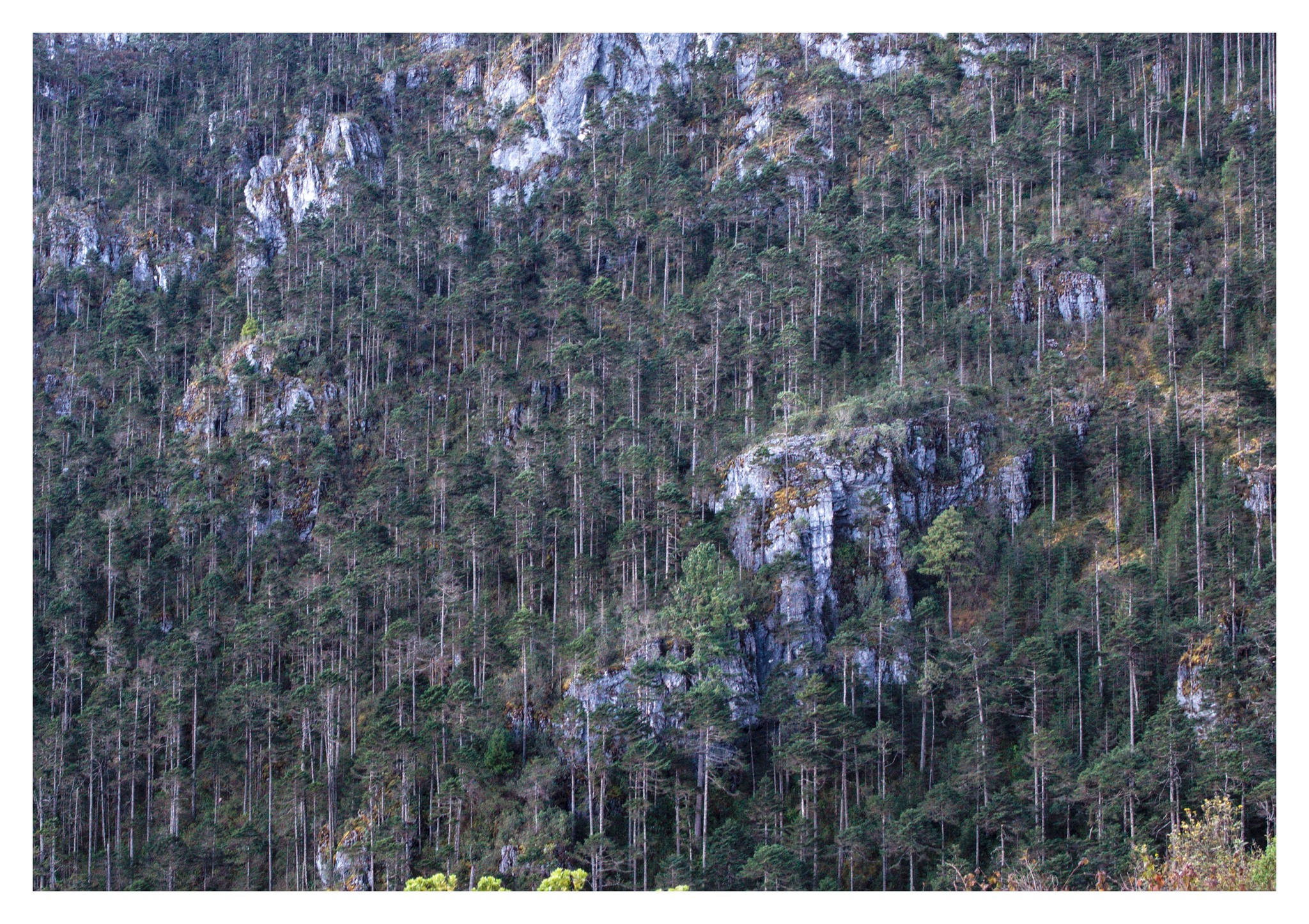 623290701_10238312653051928_3404561282622599403_n