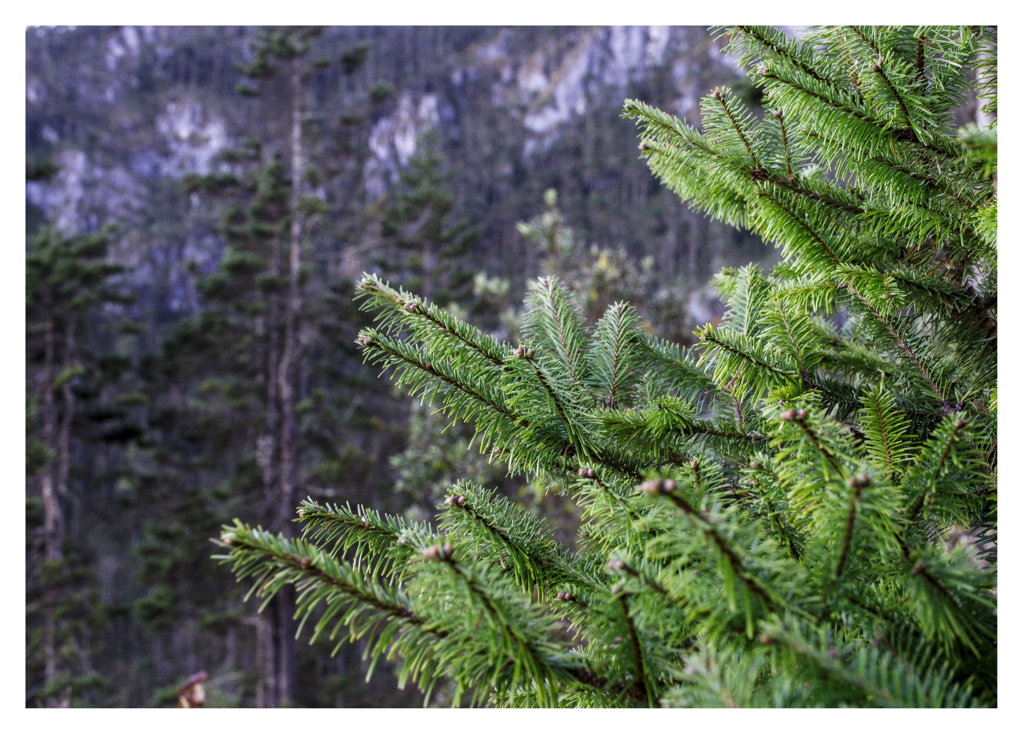 623302005_10238312662572166_1995773923459655001_n