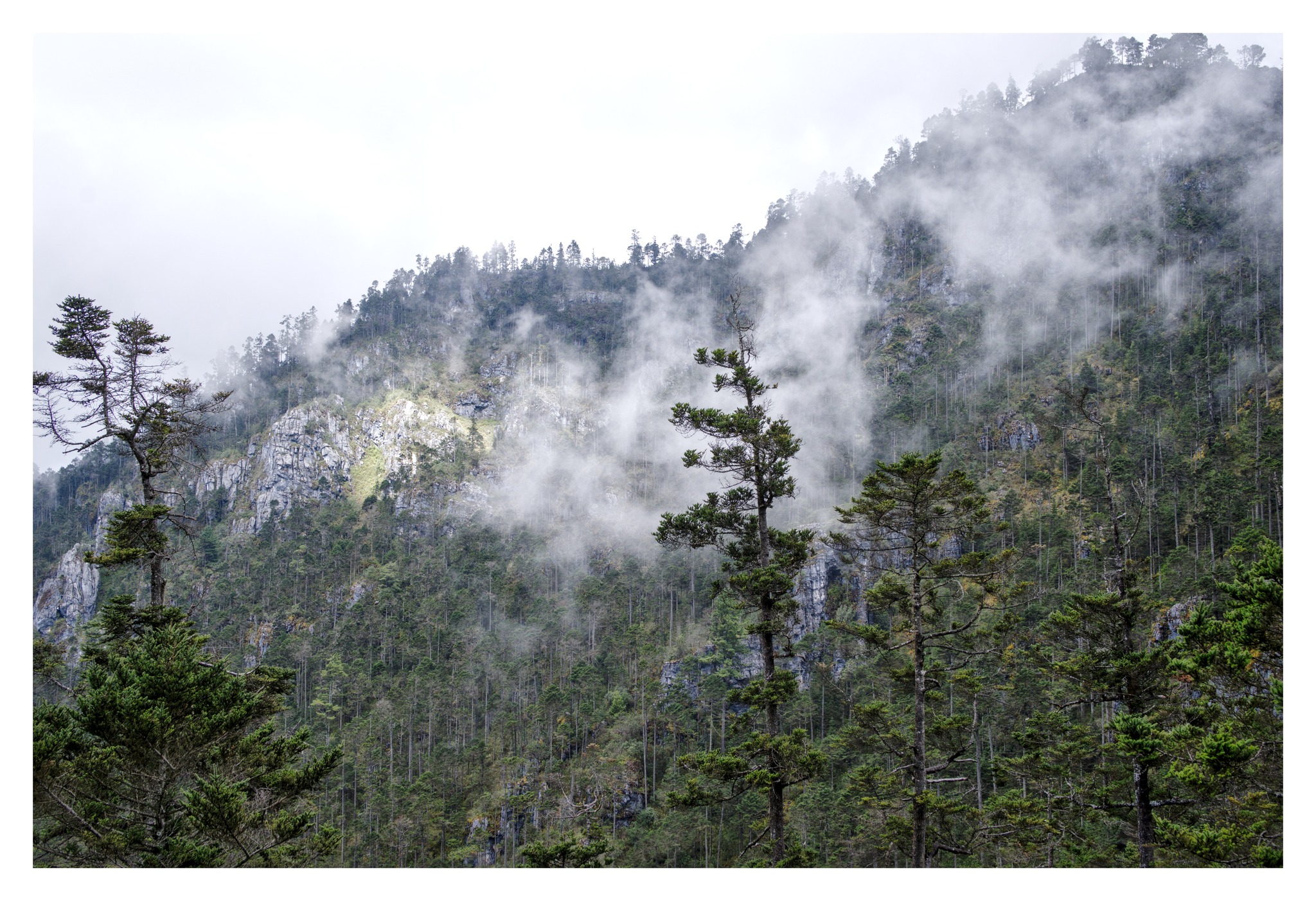 623365742_10238312660732120_3598730890206593348_n