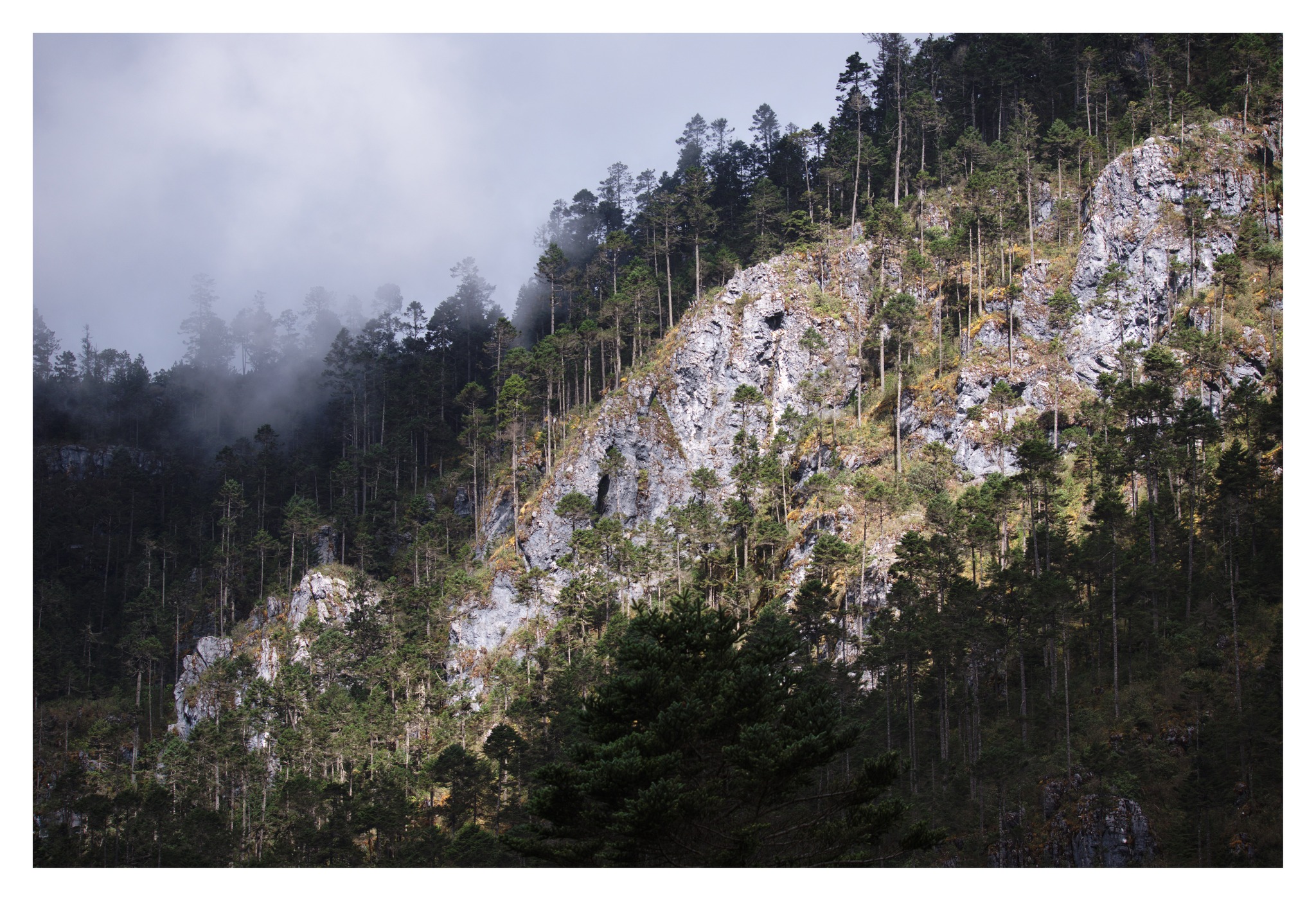 623371215_10238312661132130_519589339978474131_n