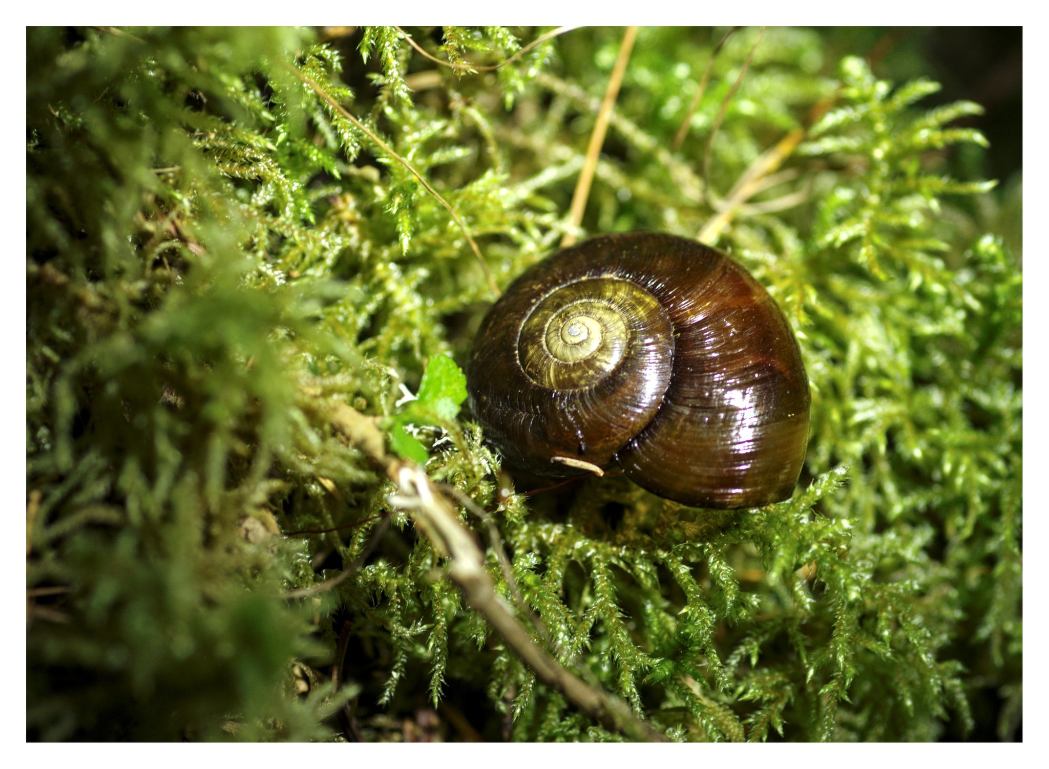 623377566_10238312655491989_4743536251148041959_n