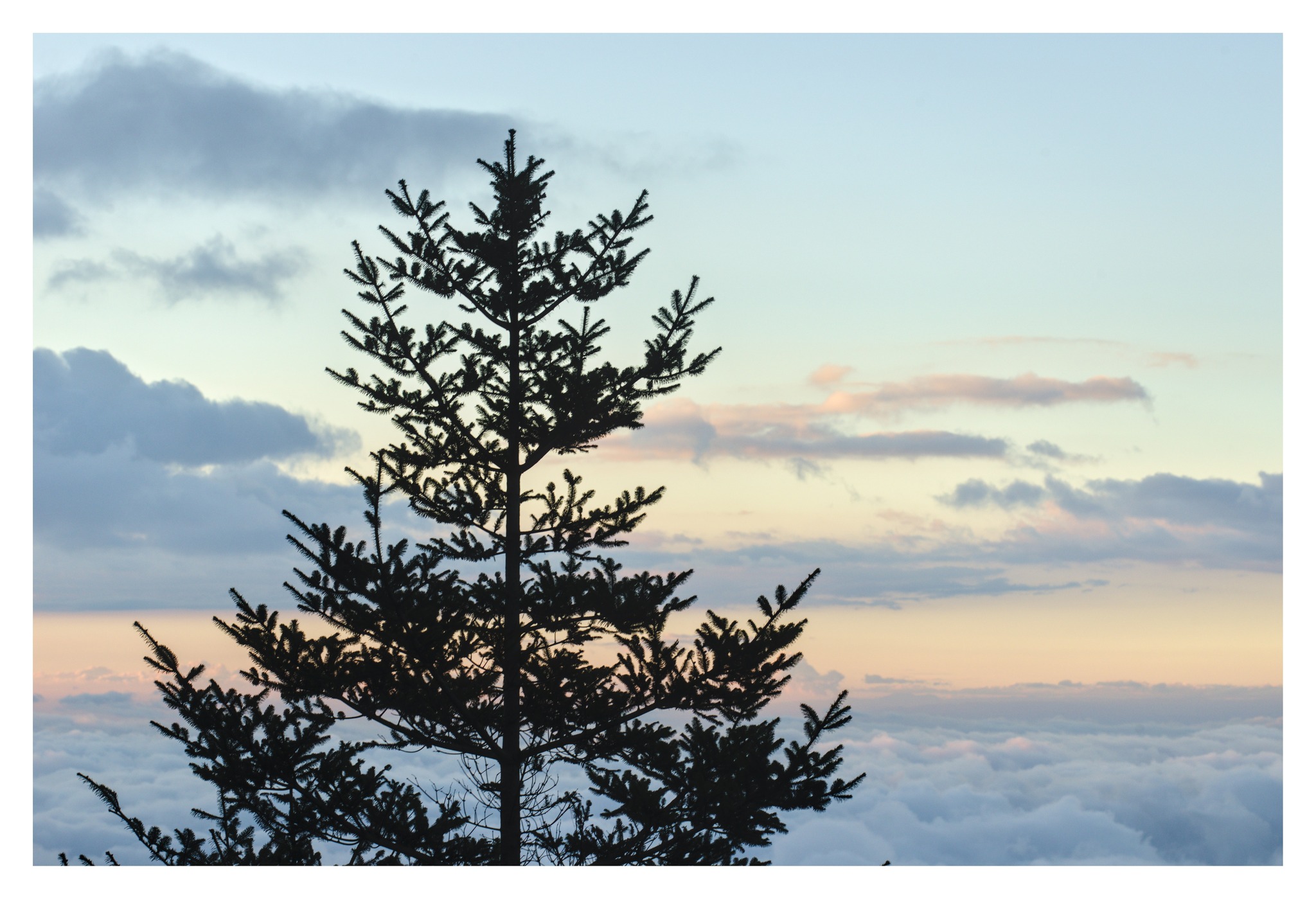 623389783_10238312658572066_6963904559168185221_n