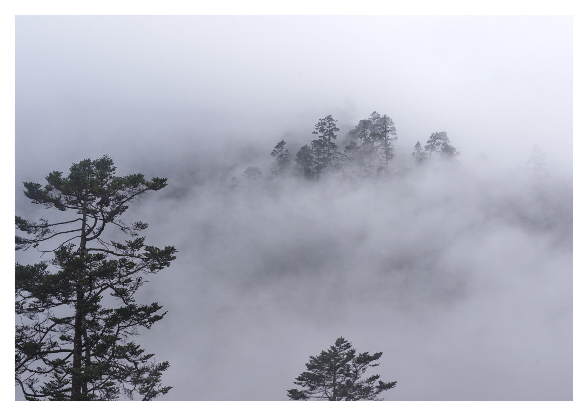 623395159_10238312652691919_4273374655682367073_n