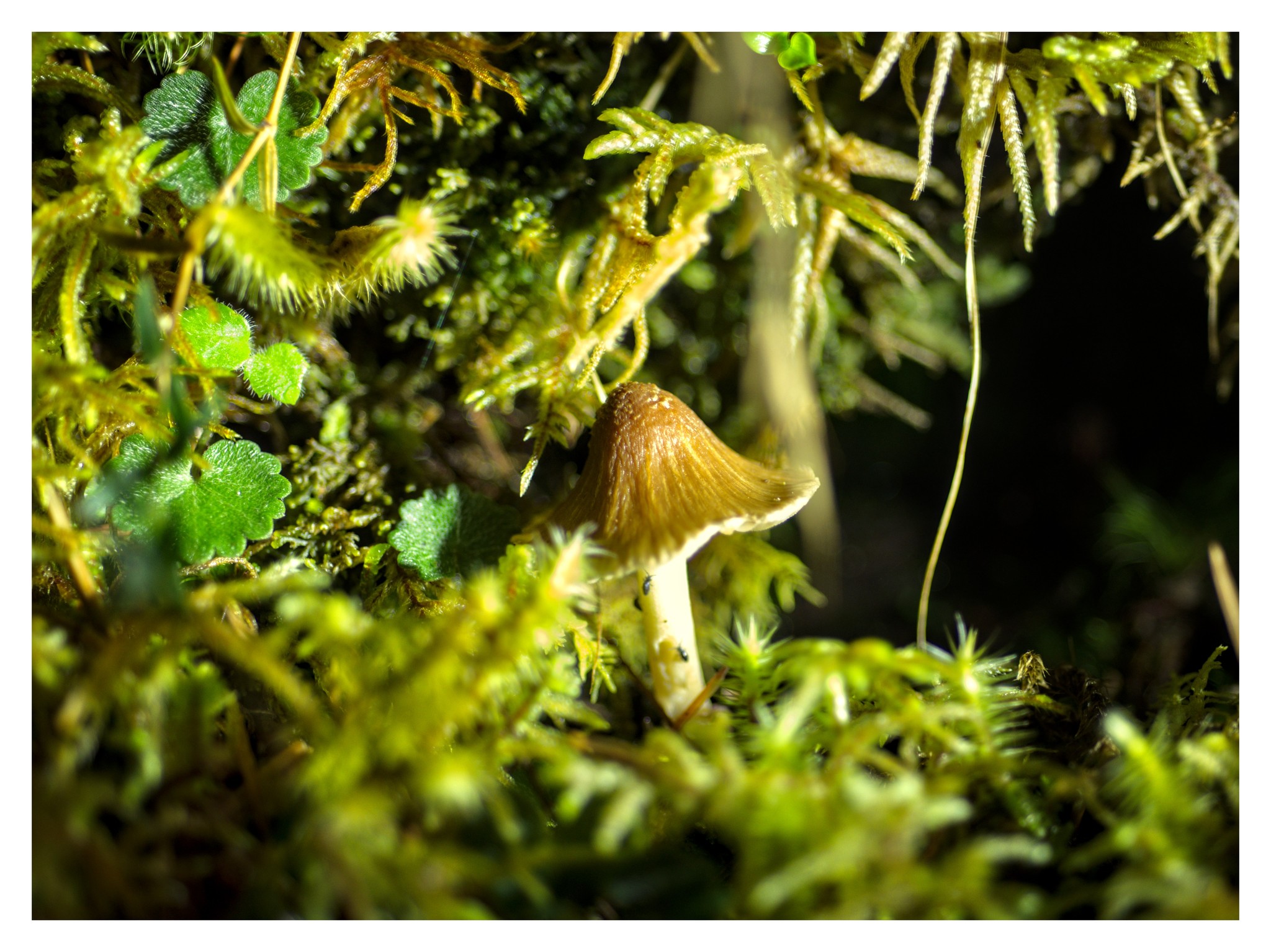 624497993_10238312659852098_3731497592448793033_n