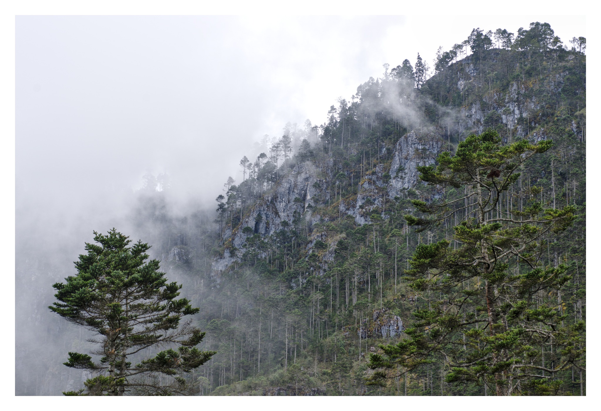 625279875_10238312659532090_4780266323394109601_n